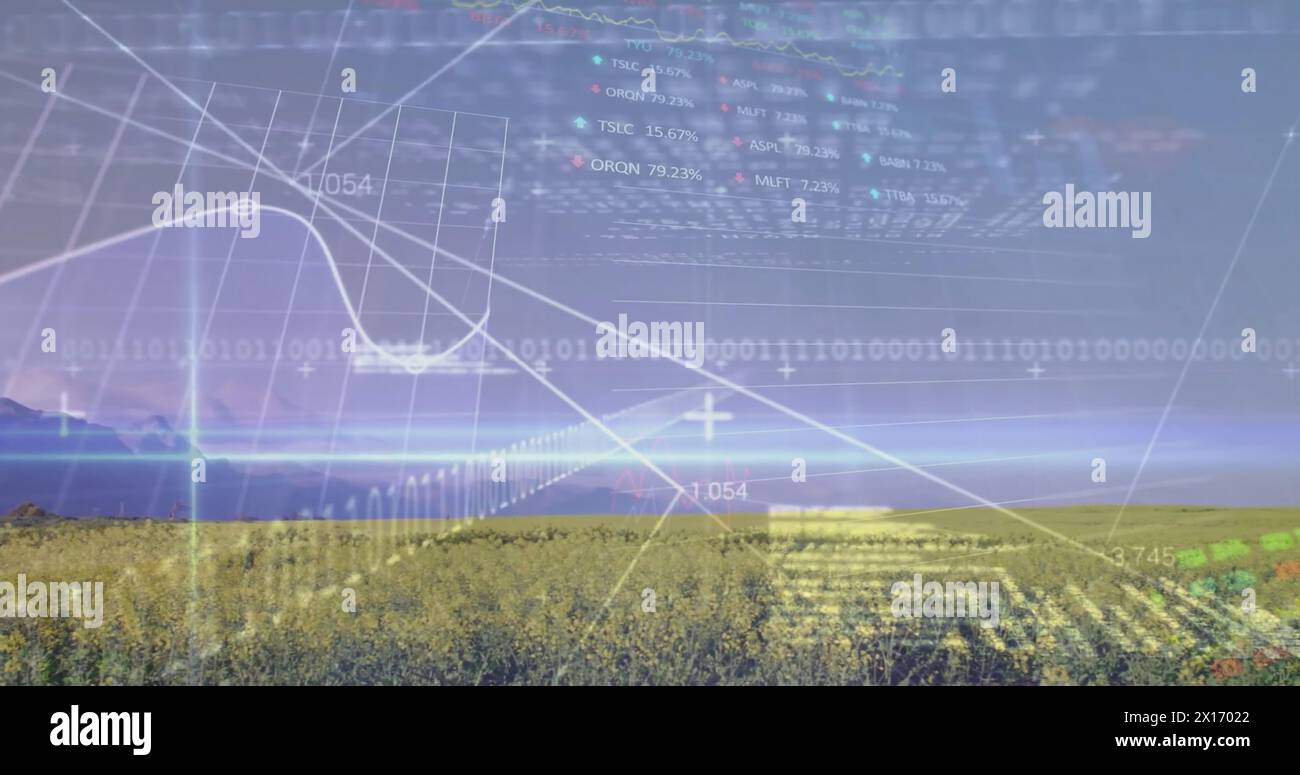 Image of stock market and data processing over field Stock Photo