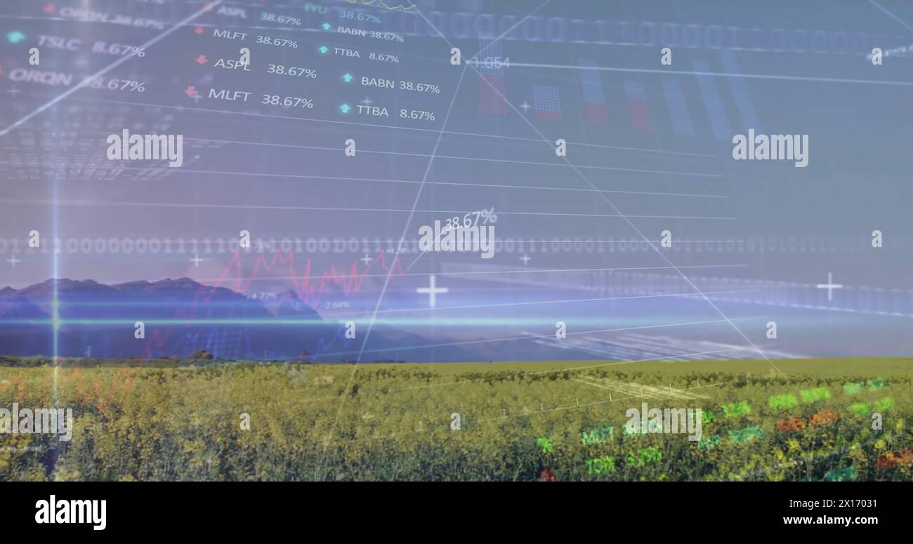 Image of stock market and data processing over field Stock Photo