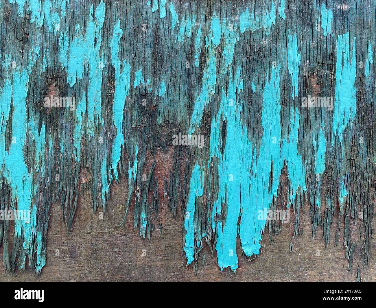 Old painted light blue wood surface Stock Photo