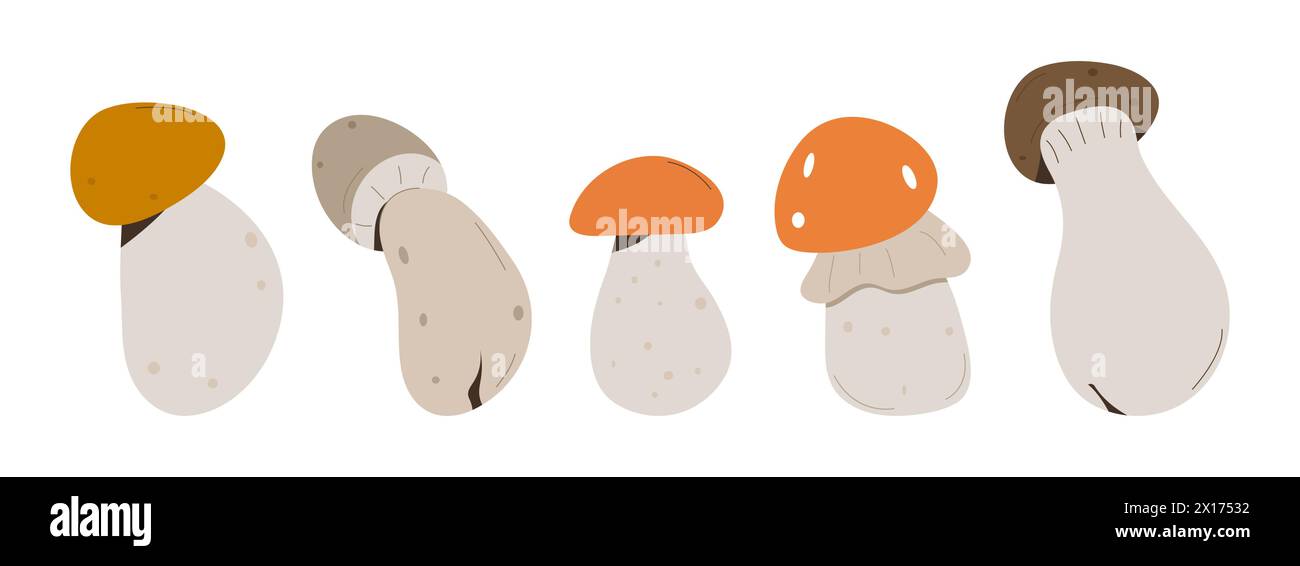 Forest Mushrooms, chanterelles and toadstools. Mushroom in hand drawing ...