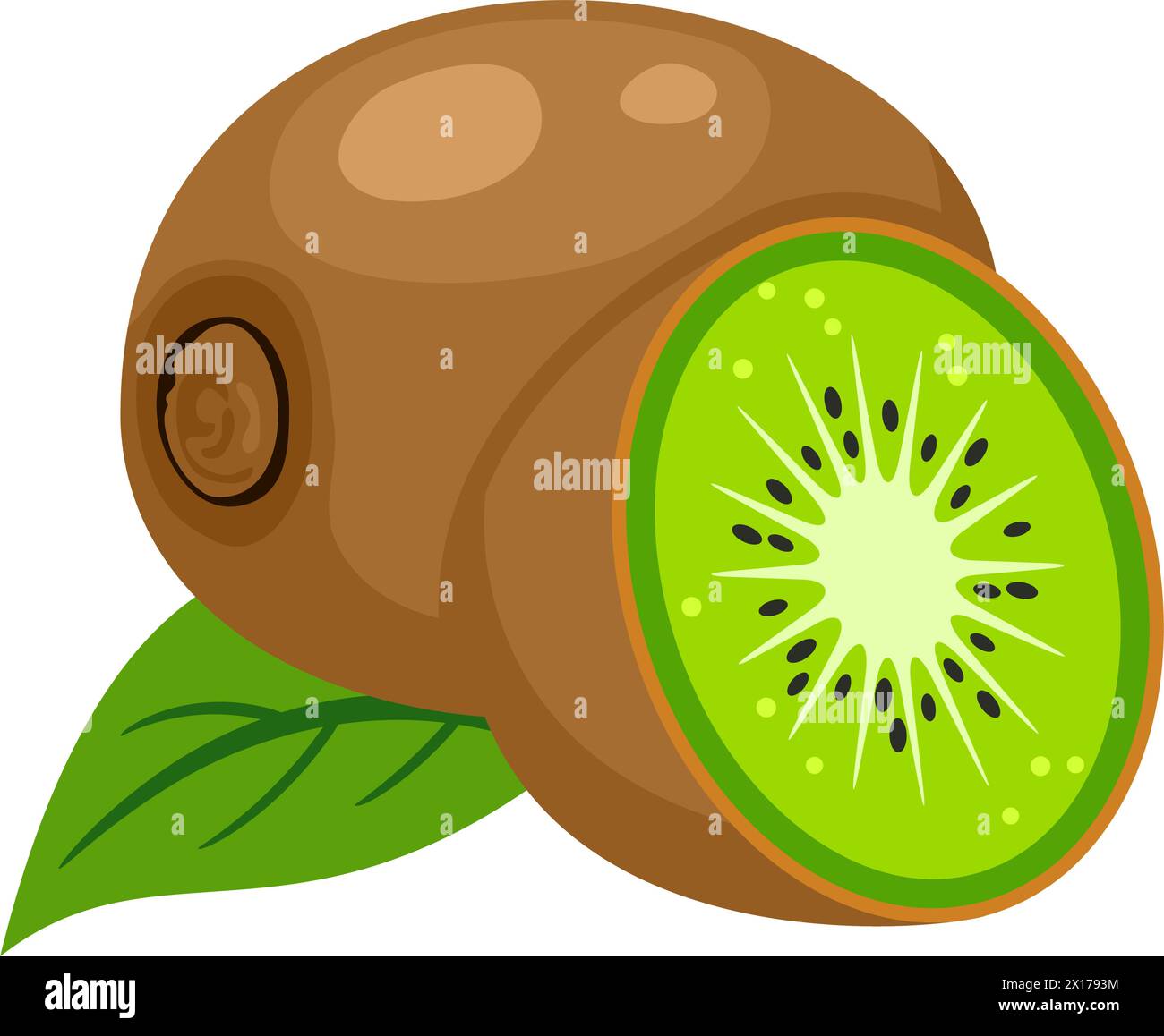 vector illustration of whole kiwi fruit, leaf and a kiwi fruit cut isolated on white background. icon of kiwifruit and slice with seeds Stock Vector
