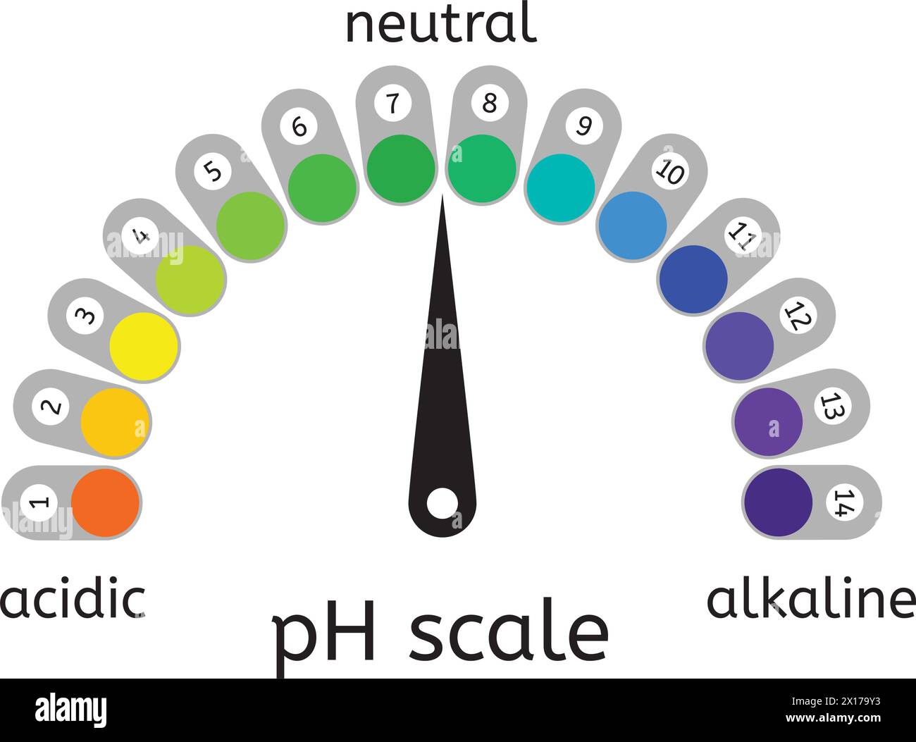 vector ph scale of acidic,neutral and alkaline value chart for acid and alkaline solutions. ph scale measurement illustration Stock Vector