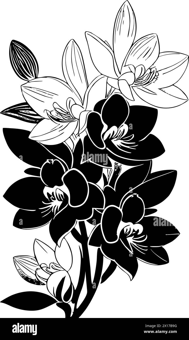 simple black outline drawing silhouette of orchid flower, design Stock Photo