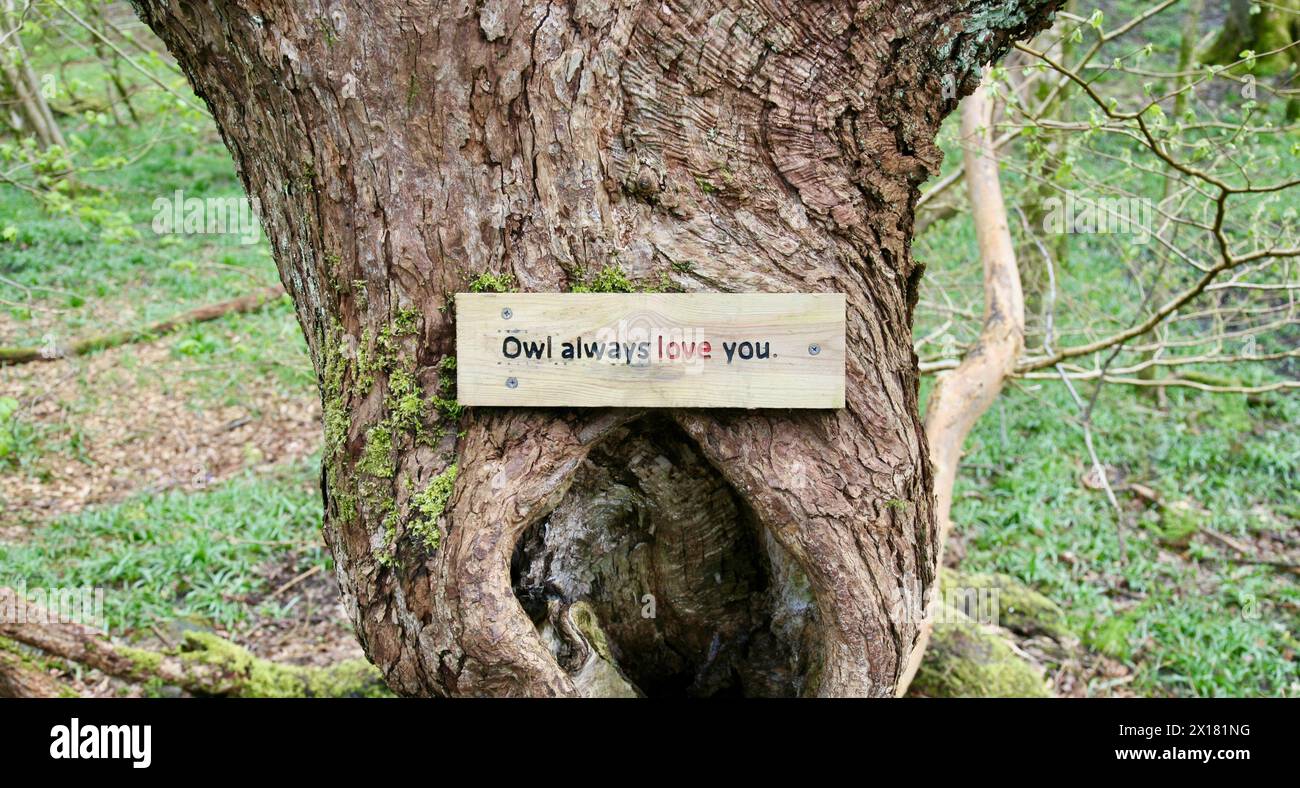 A sign on a tree, on the West Pennine Moors, saying 'Owl always love you' a reminder of a famous song from Dolly Parton Stock Photo