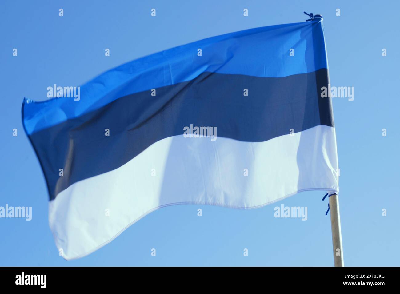 The national flag of Estonia is displayed proudly, waving in the breeze ...