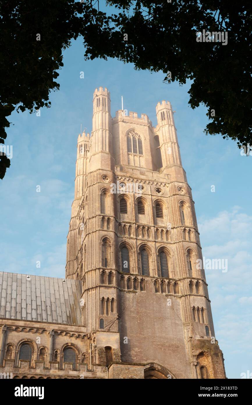 The tower of Ely Cathedral, Cambridgeshire, UK 2024 Stock Photo - Alamy