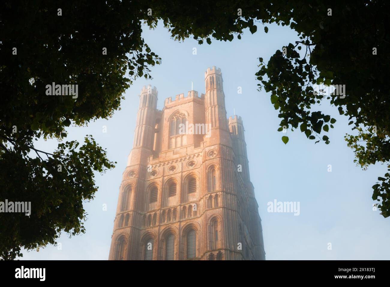The tower of Ely Cathedral, Cambridgeshire, UK 2024 Stock Photo - Alamy