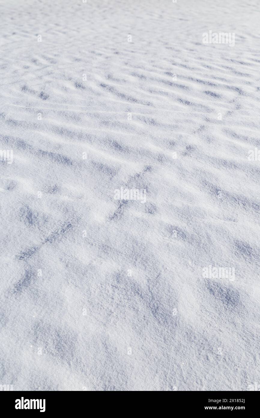 Landscape of fresh and clean snow on the ground in the winter on a sunny day, viewed from above. Abstract full frame seasonal background. Copy space. Stock Photo