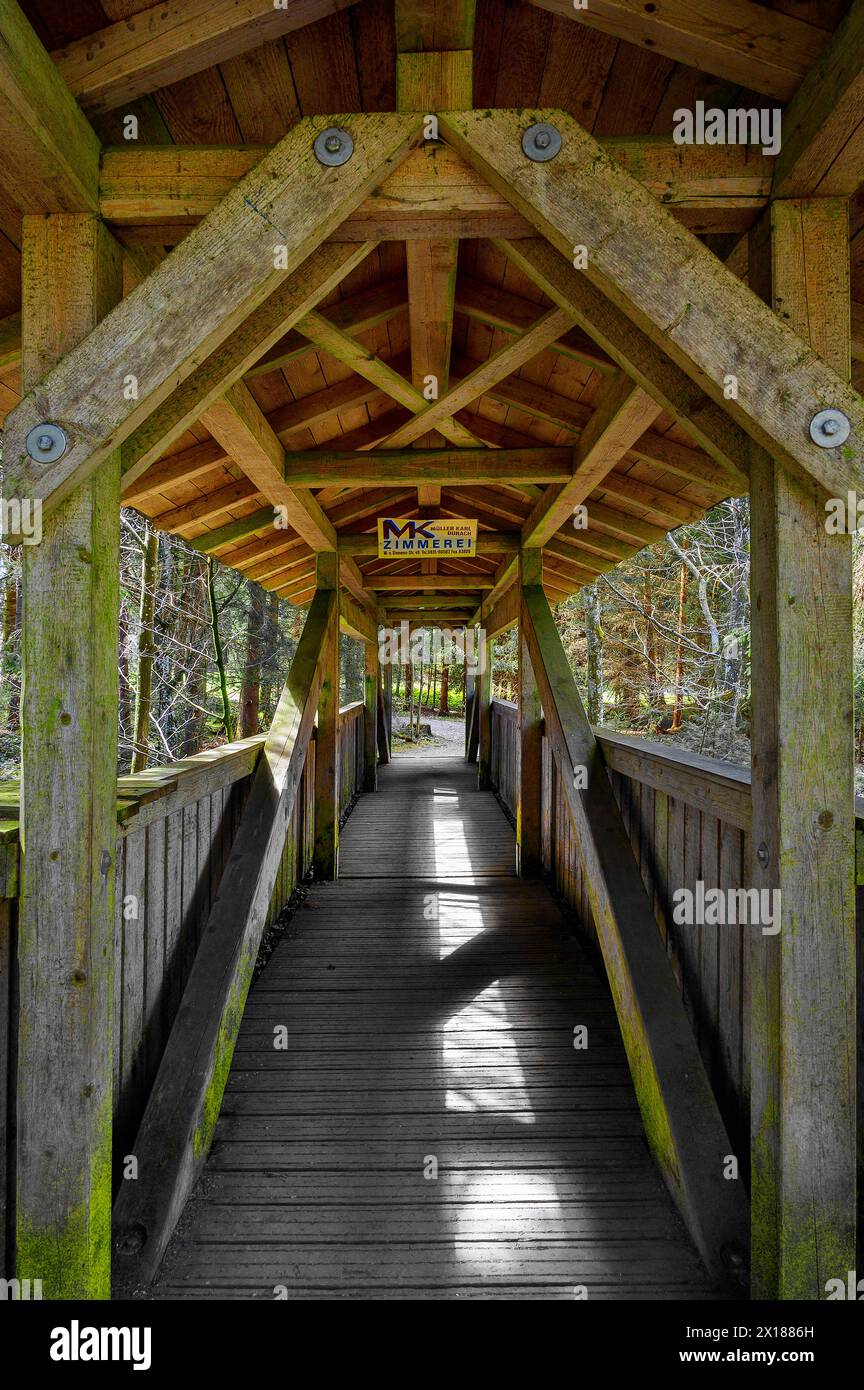 Wooden bridge over the Durach stream, Kemptner Wald, Allgaeu, Swabia, Bavaria, Germany Stock Photo