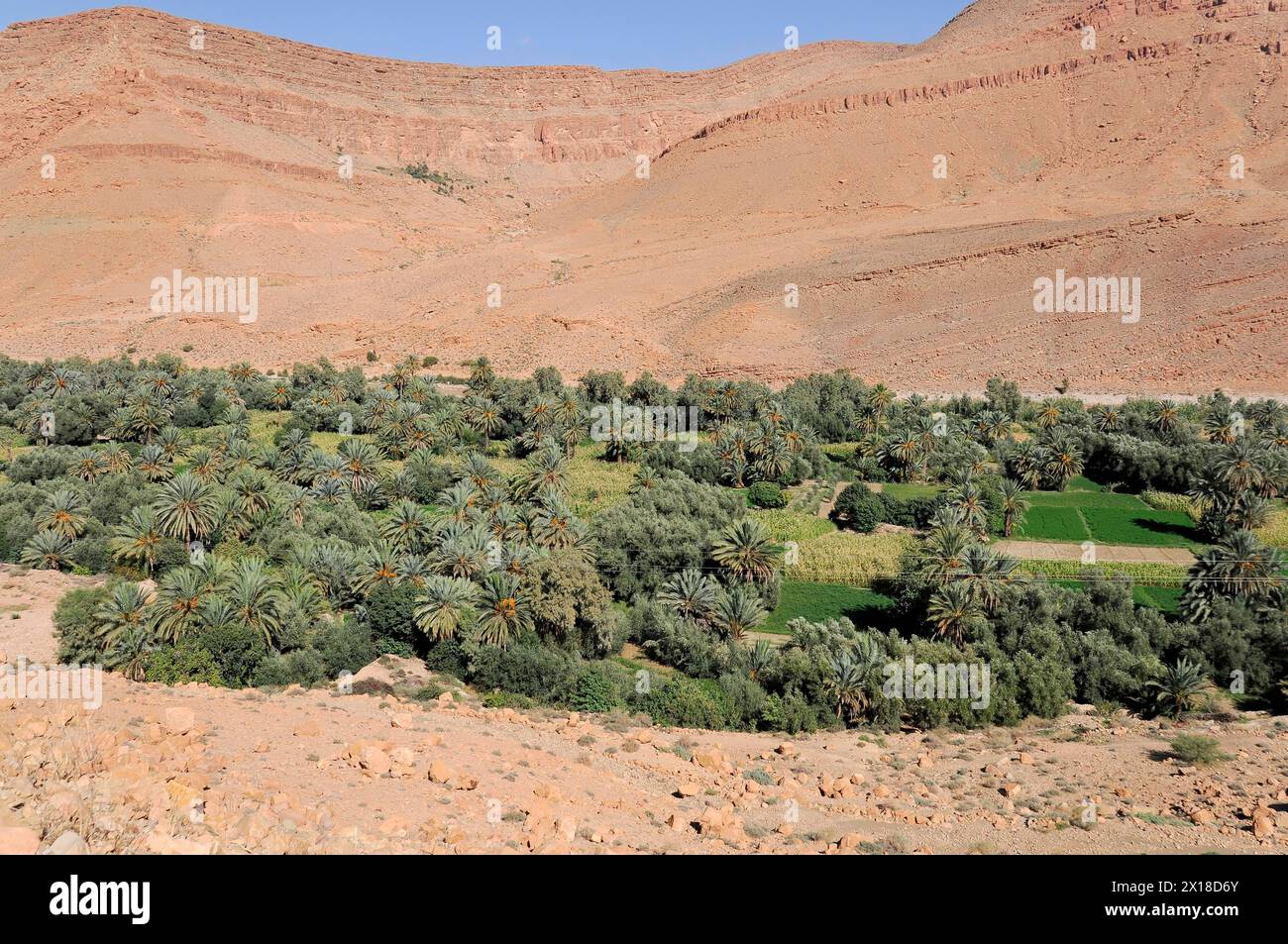 Near Fez, A fertile oasis with green vegetation in the middle of an arid desert landscape, Northern Morocco, Morocco Stock Photo