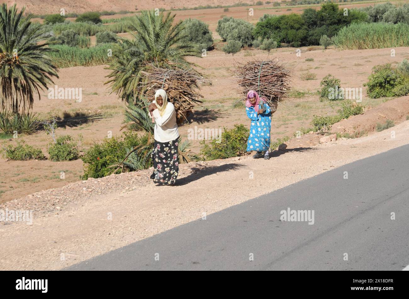 Ait Benhaddou, Two woman carrying bundles on a rural path next to palm trees, Morocco Stock Photo