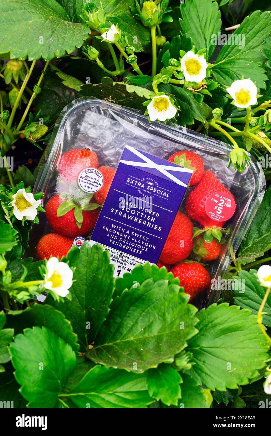 Sergei Kaminski, Soft Fruit Manager, Geddes Farms Geddes Farms, one of