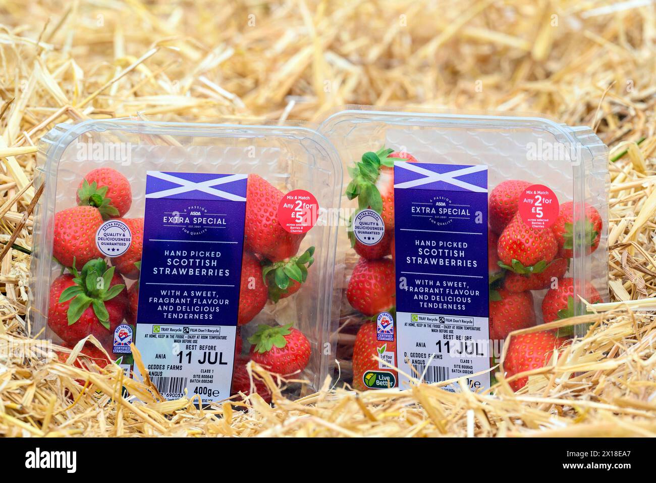 Sergei Kaminski, Soft Fruit Manager, Geddes Farms Geddes Farms, one of