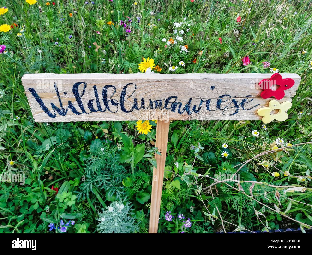 Experience the Beauty of a Blooming Wildflower Meadow with Handwritten Wooden Sign 'Wildflower Meadow'. Stock Photo