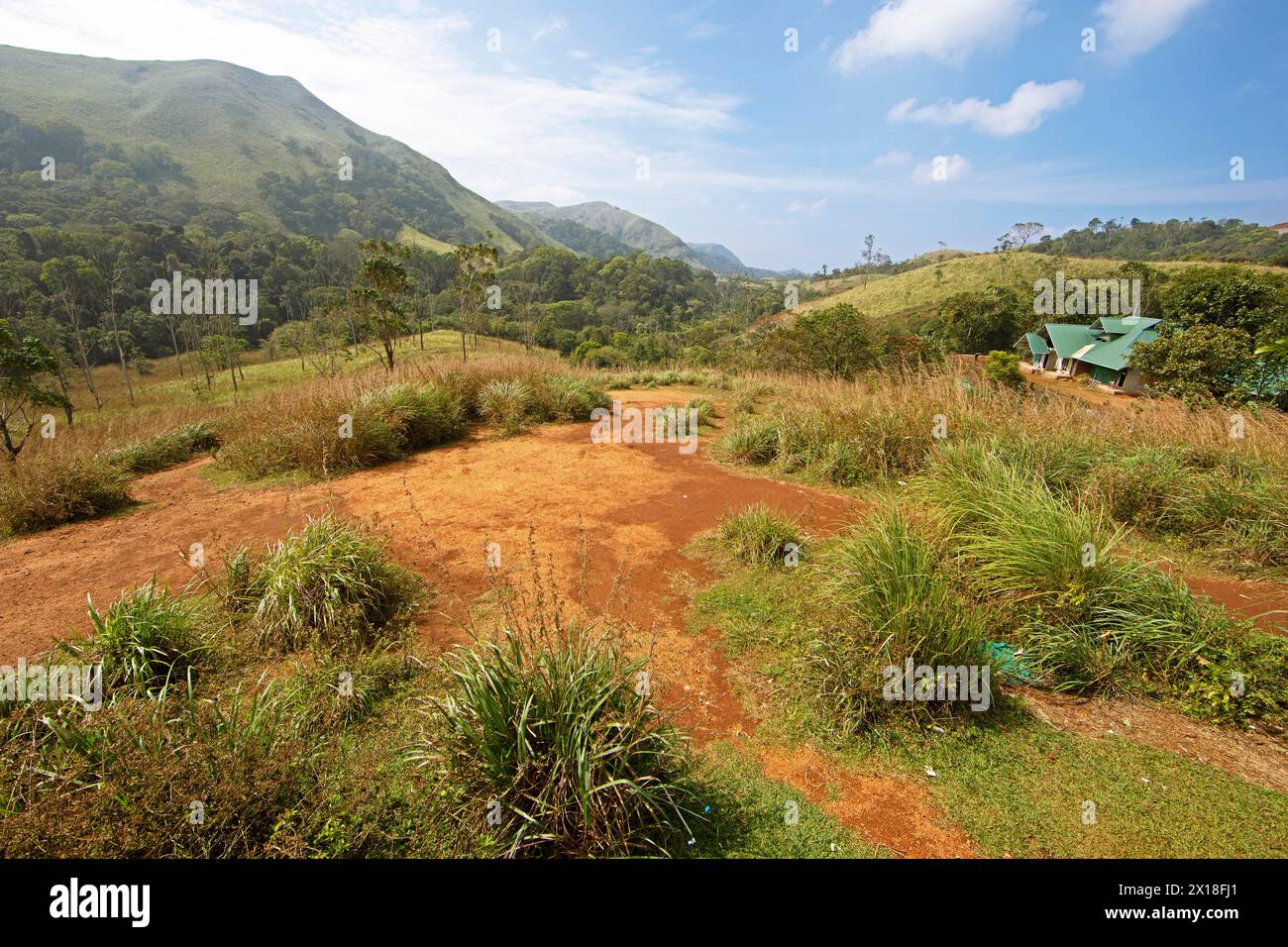 Landscape and red earth in Periyar Wildlife Sanctuary or Periyar