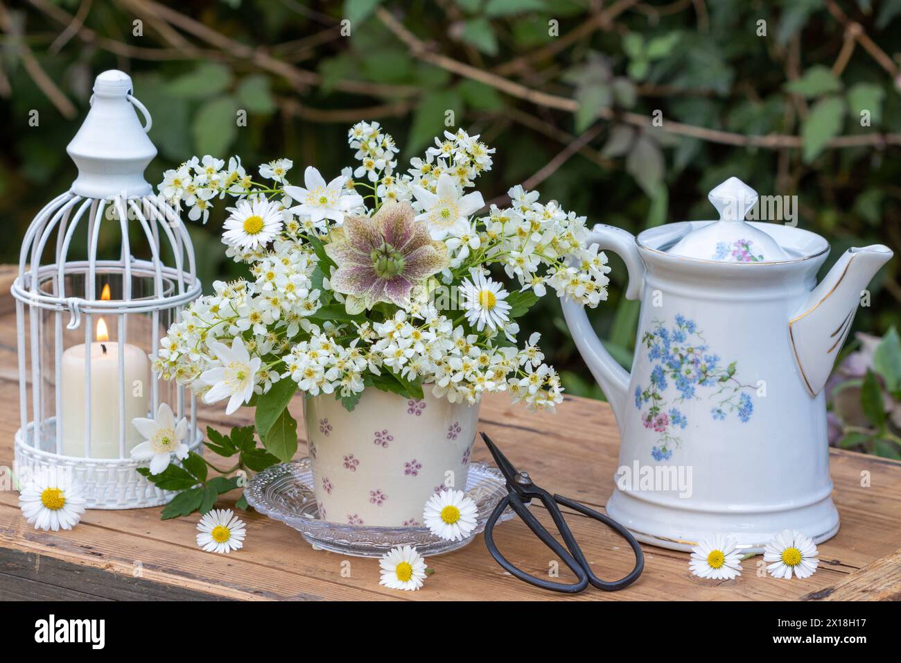 arrangement with bouquet of European bird cherry, lenten rose wood anemones and daisies,  vintage coffee can and candle Stock Photo