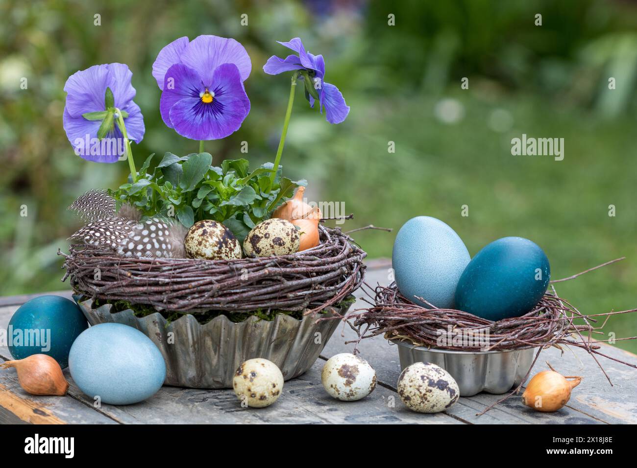 easter arrangement with purple viola flower and blue coloured eggs Stock Photo