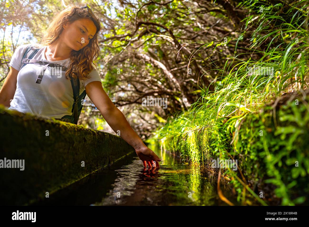 Description: Low angle shot of female tourist holding her hand in fresh water canal along green overgrown hike path. 25 Fontes waterfalls, Madeira Isl Stock Photo