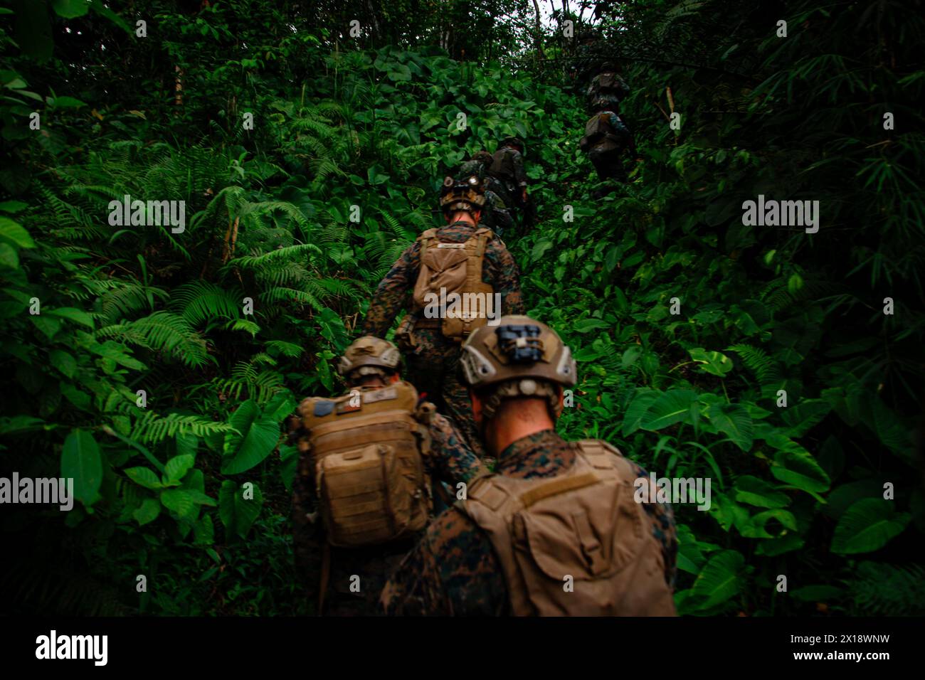U.S. Marines with Echo Company, 2nd Battalion, 1st Marine Regiment, 1st Marine Division, alongside Philippine marines with the 1st Marine Brigade, conduct a jungle patrol during Marine Exercise 2024 near Cotabato City, Mindanao, Philippines, April 9, 2024. MAREX 2024 is a bilateral exercise between the U.S. Marine Corps and the Philippine Marine Corps designed to further enhance relationships, interoperability, and combined arms capabilities in a realistic training environment. (U.S. Marine Corps photo by Sgt. Ryan Hageali) Stock Photo
