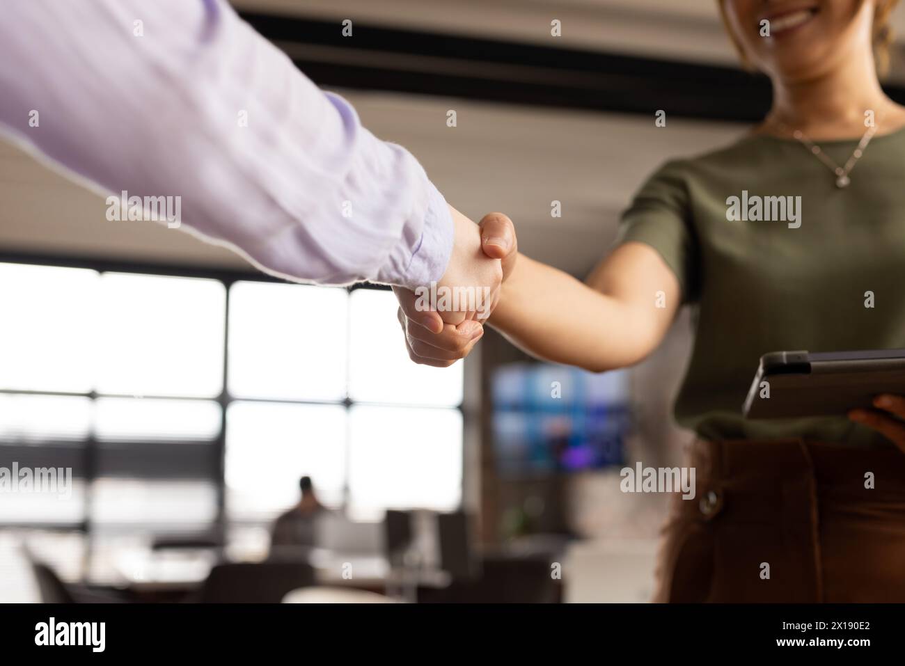 A diverse team is shaking hands, sealing a deal in a modern business office Stock Photo