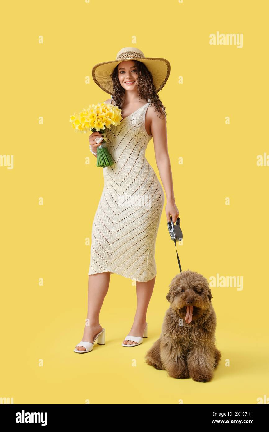 Young woman with narcissus flowers and cute poodle on yellow background Stock Photo