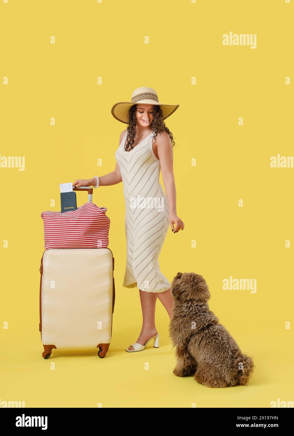 Female traveler with suitcase and cute poodle on yellow background Stock Photo