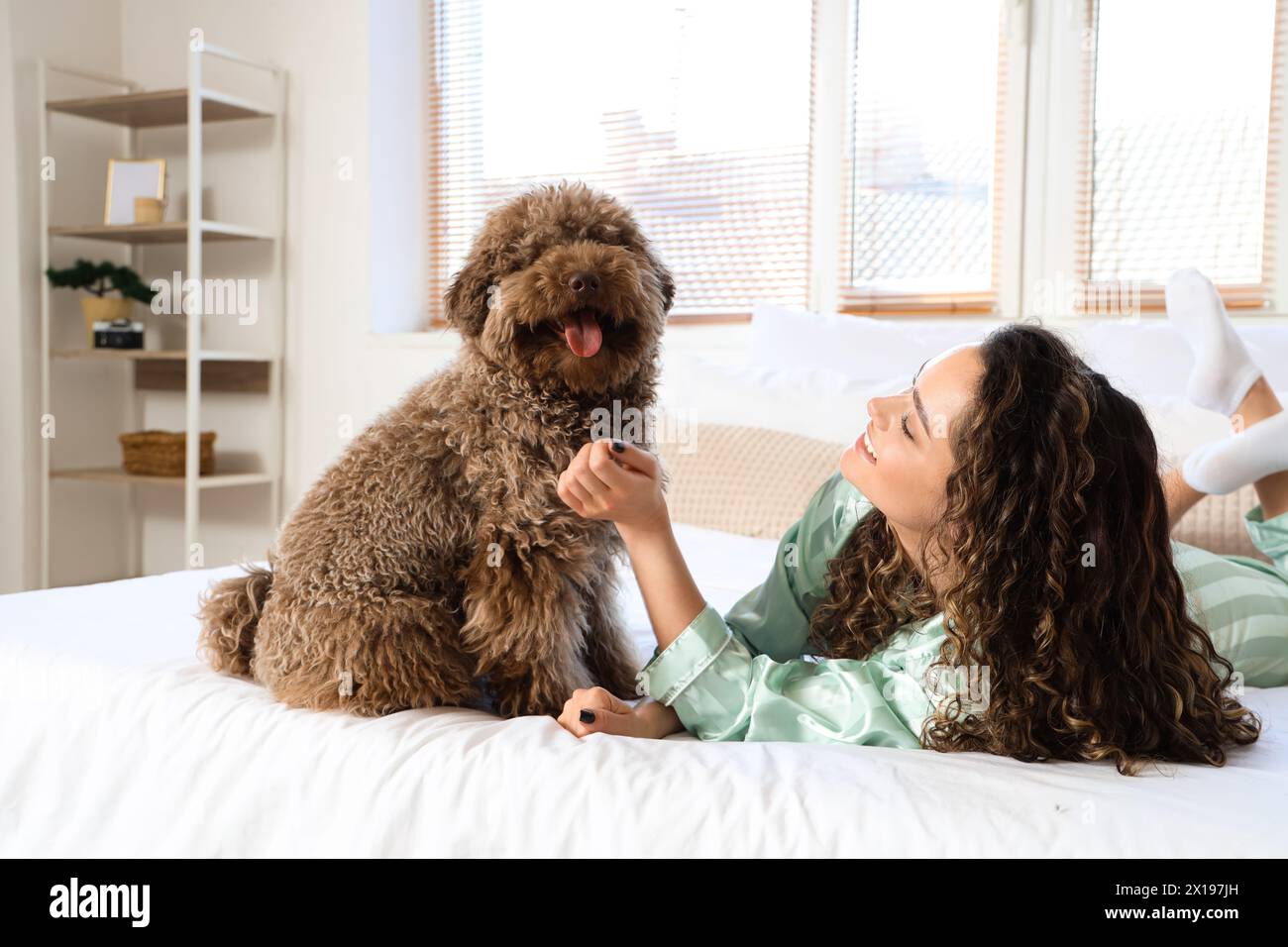 Young woman with funny poodle lying in bedroom Stock Photo