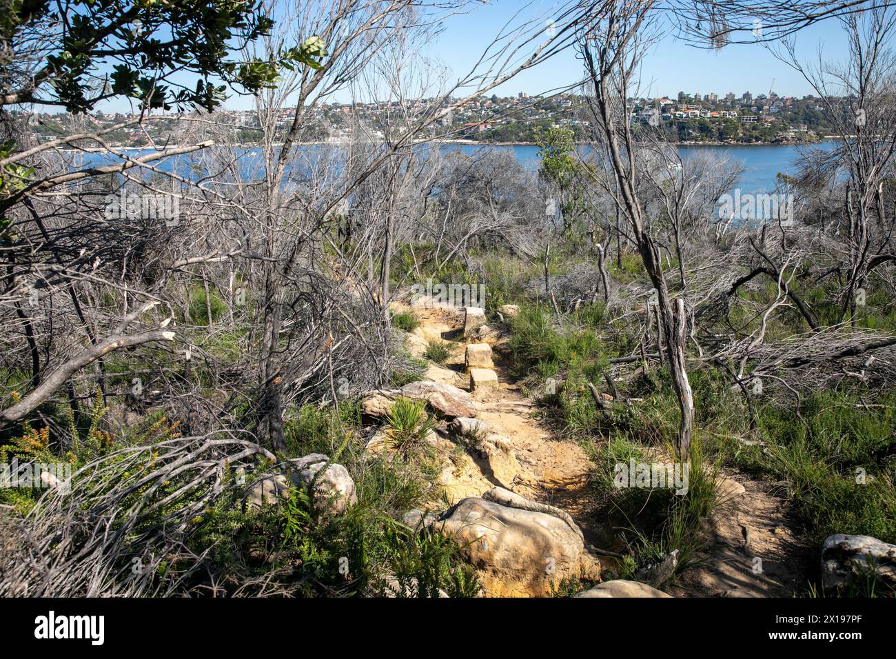 Lighthouse walking track on Dobroyd Head leading to Grotto Point lighthouse on Sydney Harbour,NSW,Australia with views to Balmoral beach Stock Photo