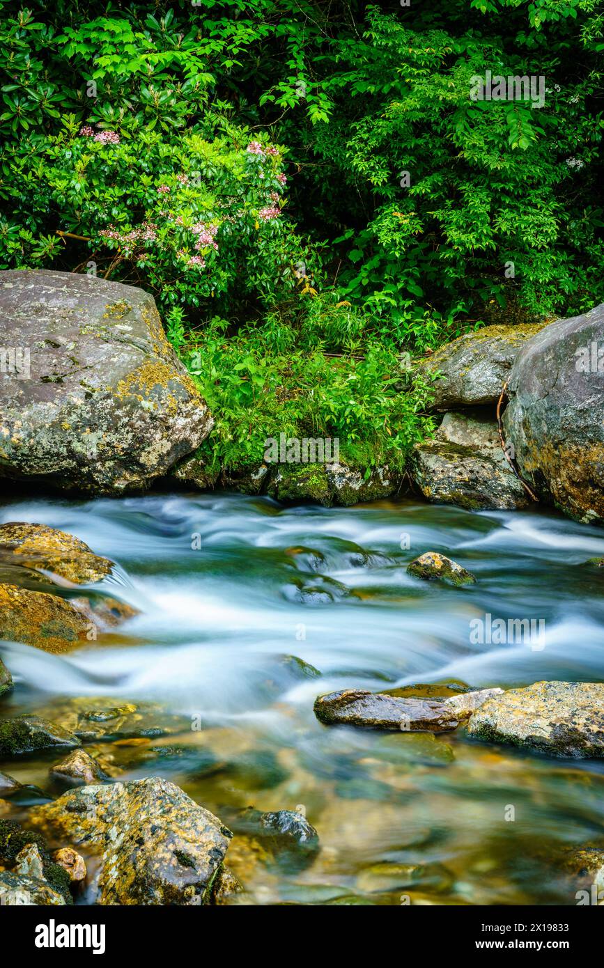 Long exposure image of a small creek in Maggie Valery, North Carolina Stock Photo