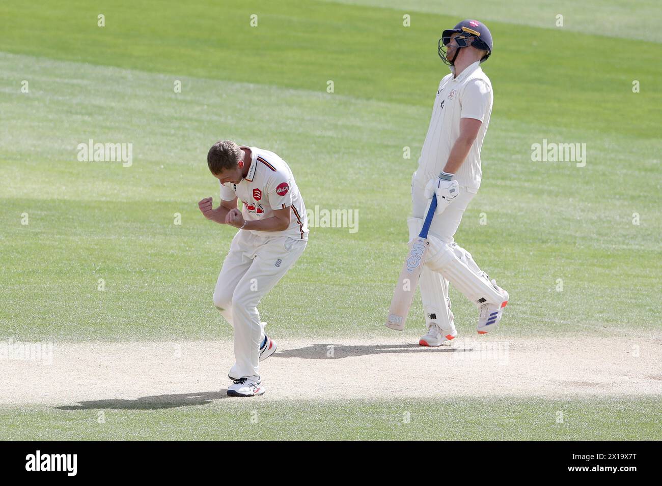 Jamie Porter of Essex celebrates taking the wicket of Tawanda Muyeye during Essex CCC vs Kent CCC, Vitality County Championship Division 1 Cricket at Stock Photo