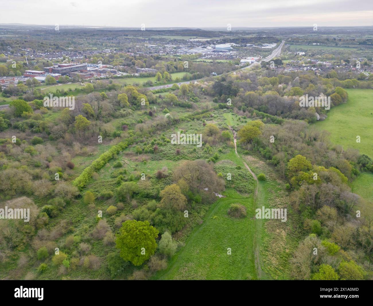 Scadbury Park Hi res Stock Photography And Images Alamy scadbury-park-hi-res-stock-photography-and-images-alamy
