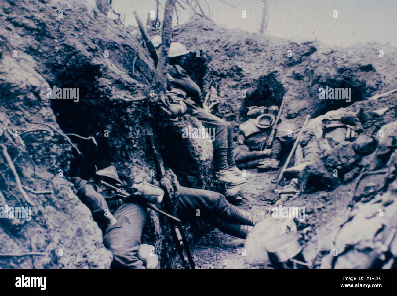 British front line at Thiepval Wood during WW1, France 1916 Stock Photo ...