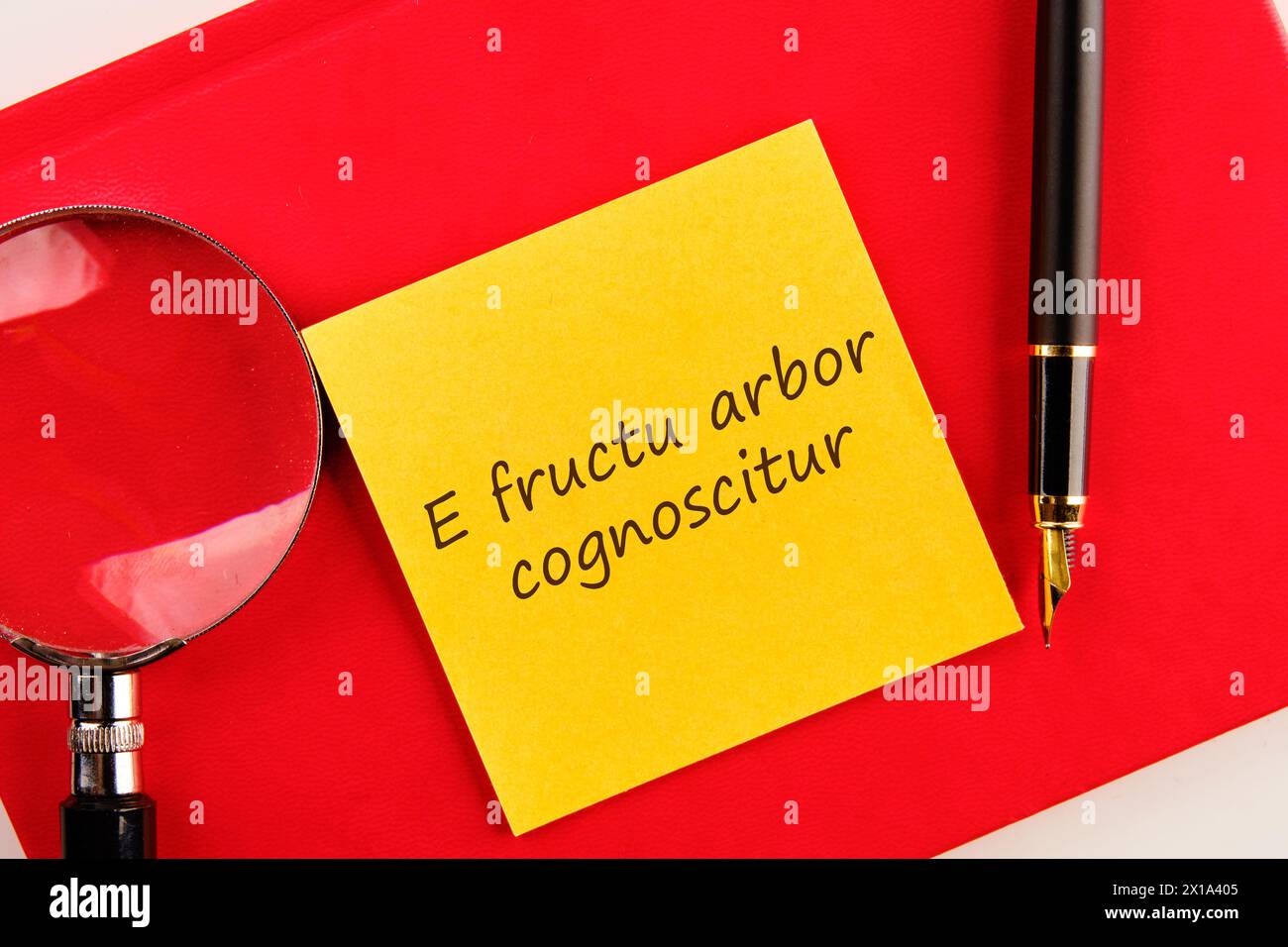 E fructu arbor cognoscitur the phrase in Latin translates as the Tree is known by its fruits on a yellow sticker on a red notebook Stock Photo