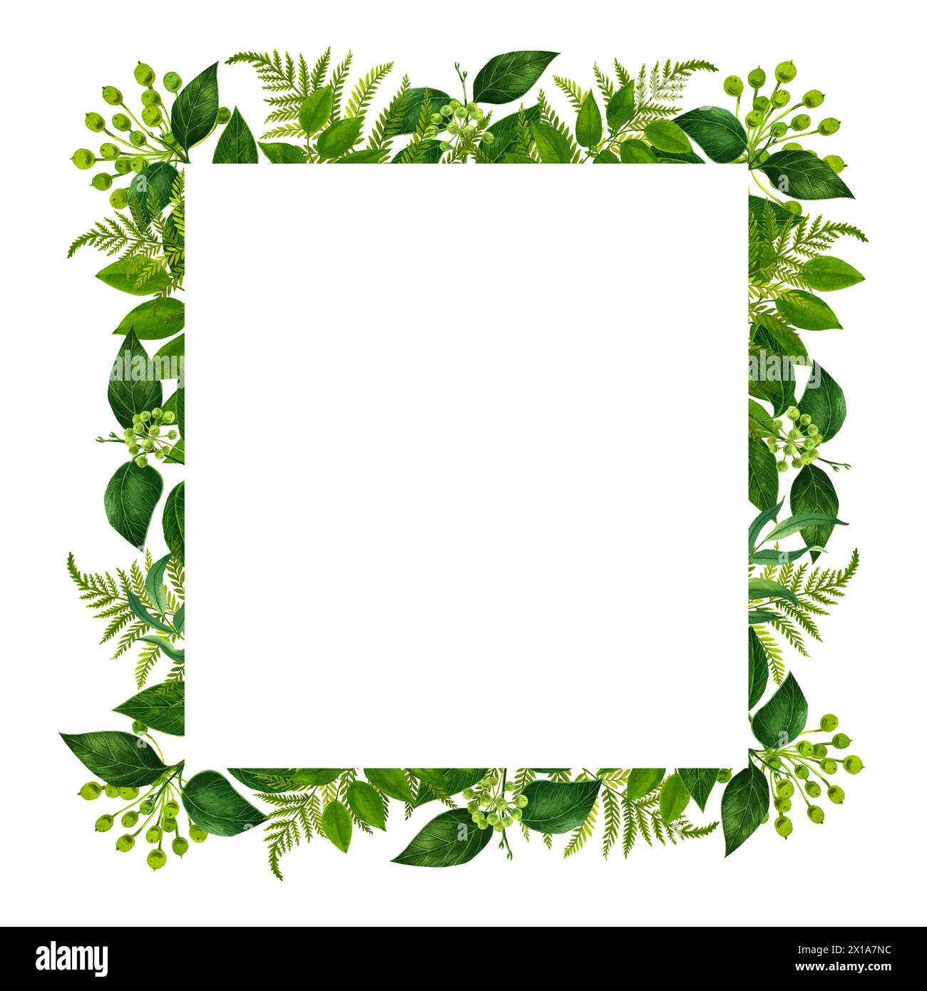 Watercolor frame of branches and leaves on a white background for ...