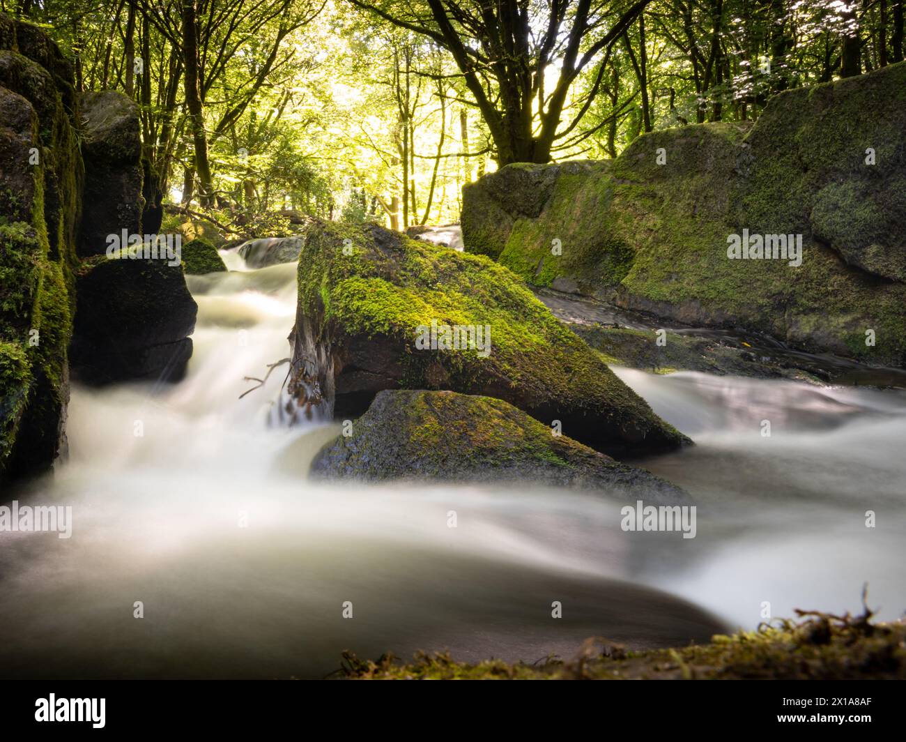 Golitha Falls long exposure water trail river Stock Photo - Alamy