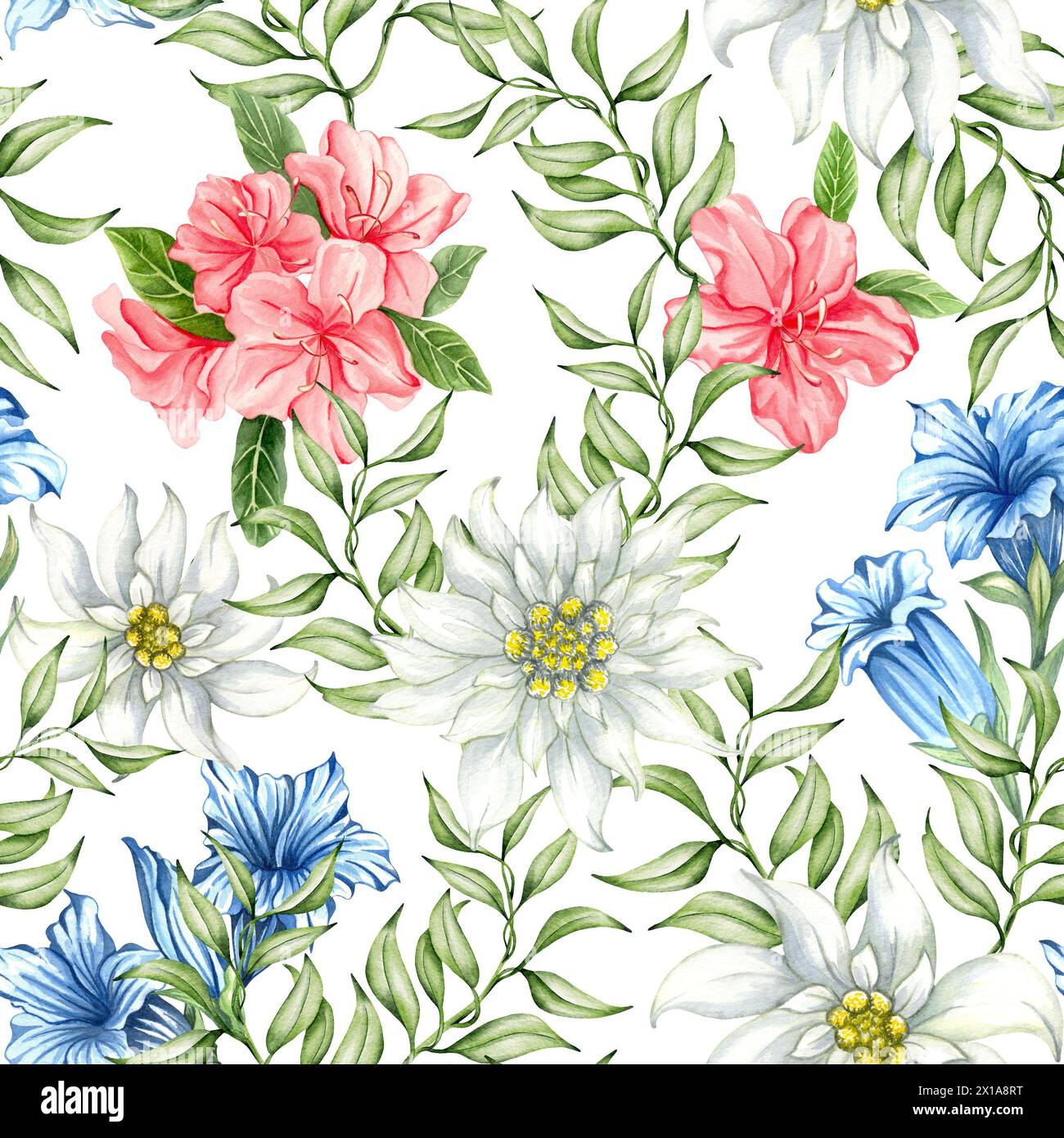 Seamless pattern with alpine flowers. Edelweise, rhododendron, gentiana. Watercolor print for textile, wallpaper, covers, surface. Blossoming Alpine m Stock Photo