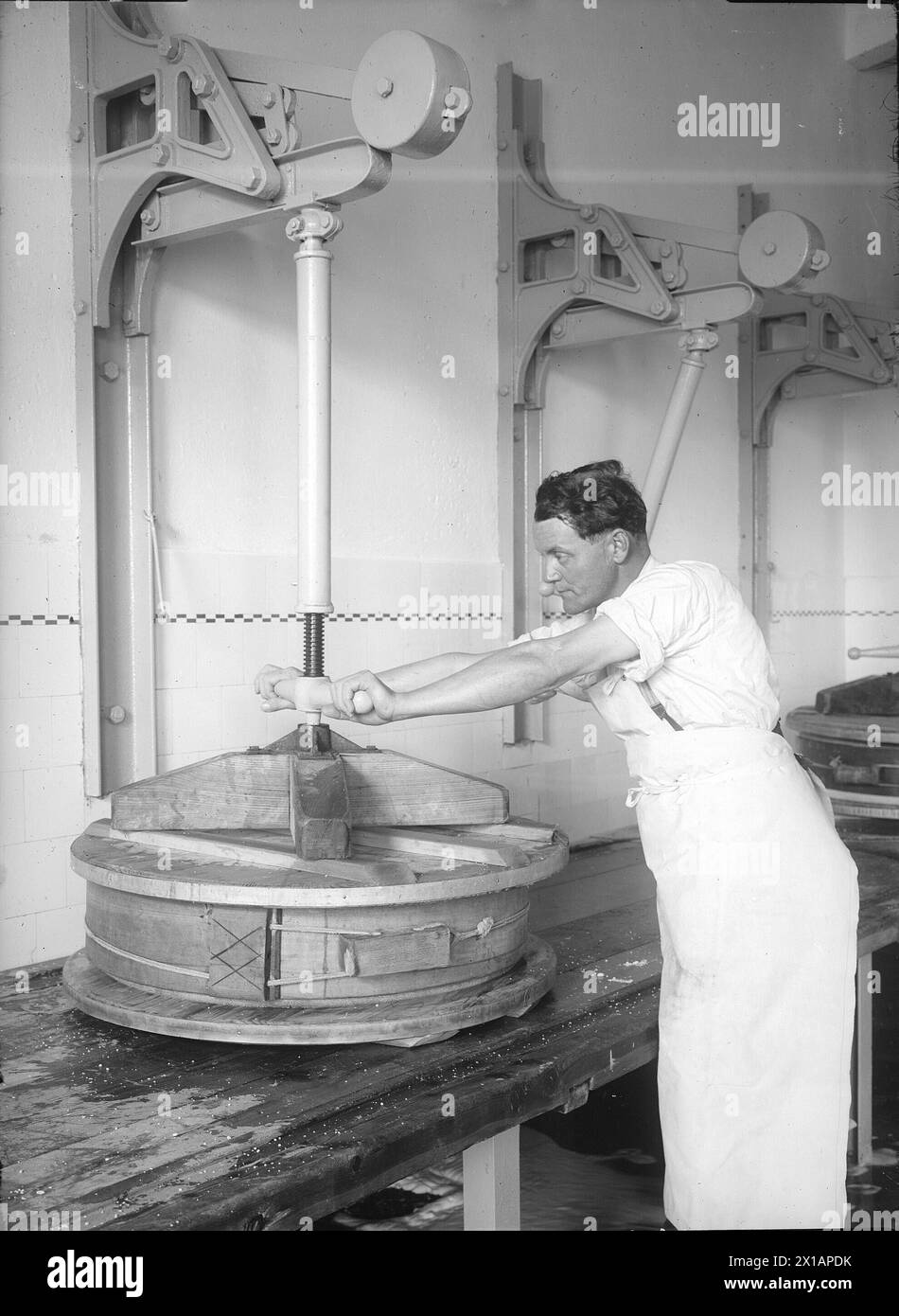 Kapfenberg, dairy: worker at the cheese press, 1930 - 19300101 PD8458 - Rechteinfo: Rights Managed (RM) Stock Photo