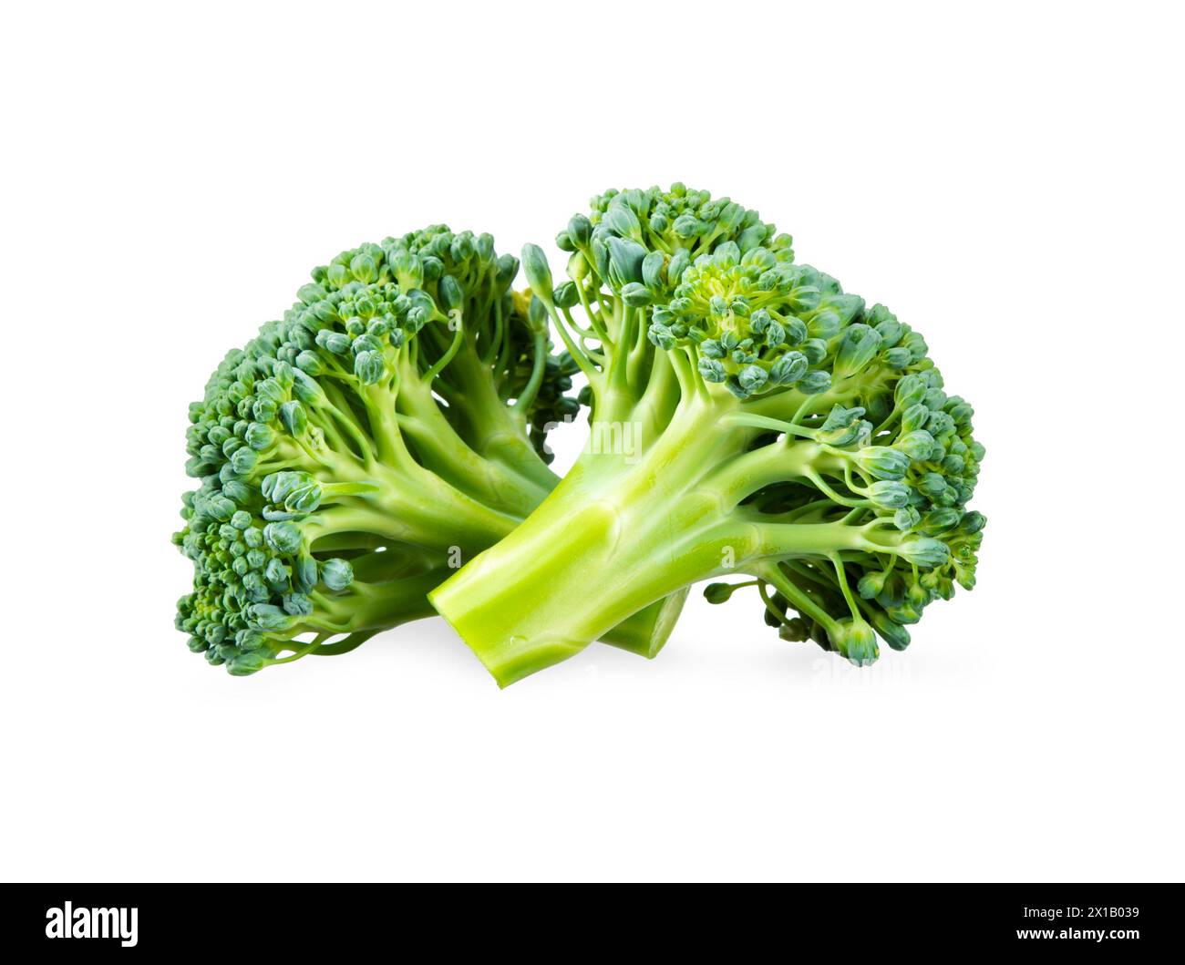 broccoli isolated on white background. broccoli clipping path Stock Photo