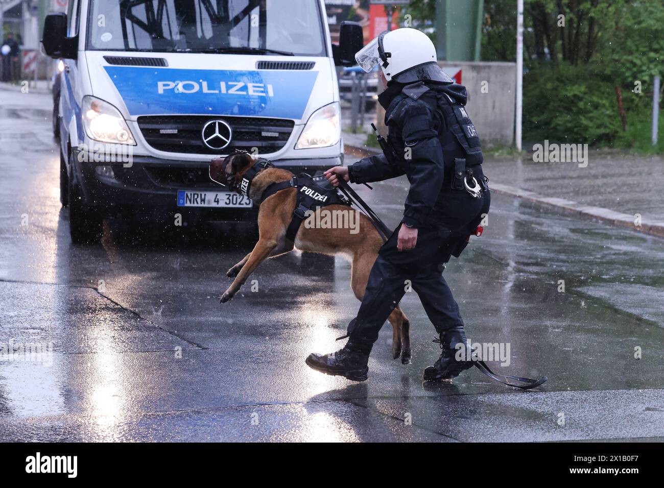 Wuppertal, Germany. 16th Apr, 2024. A police dog is used against violent soccer fans during a major exercise by the Wuppertal police. Around 250 members of the Wuppertal police force have been practising how to deal with violent soccer fans in the run-up to the European Football Championships this summer. Credit: David Young/dpa/Alamy Live News Stock Photo