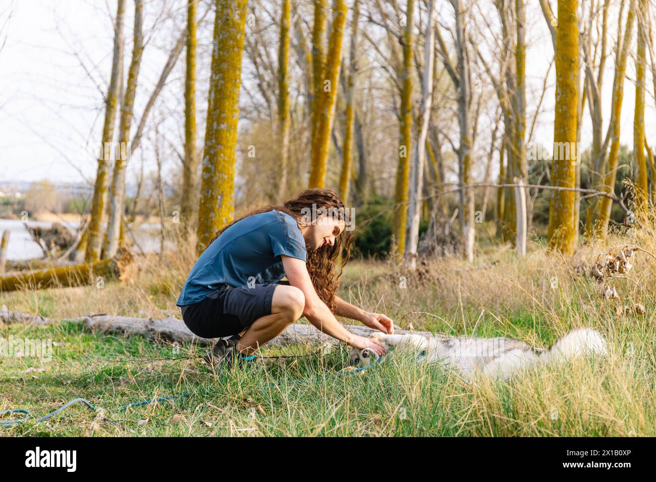 bondage between trees Sunlit forest clearing hi-res stock photography and images - Alamy