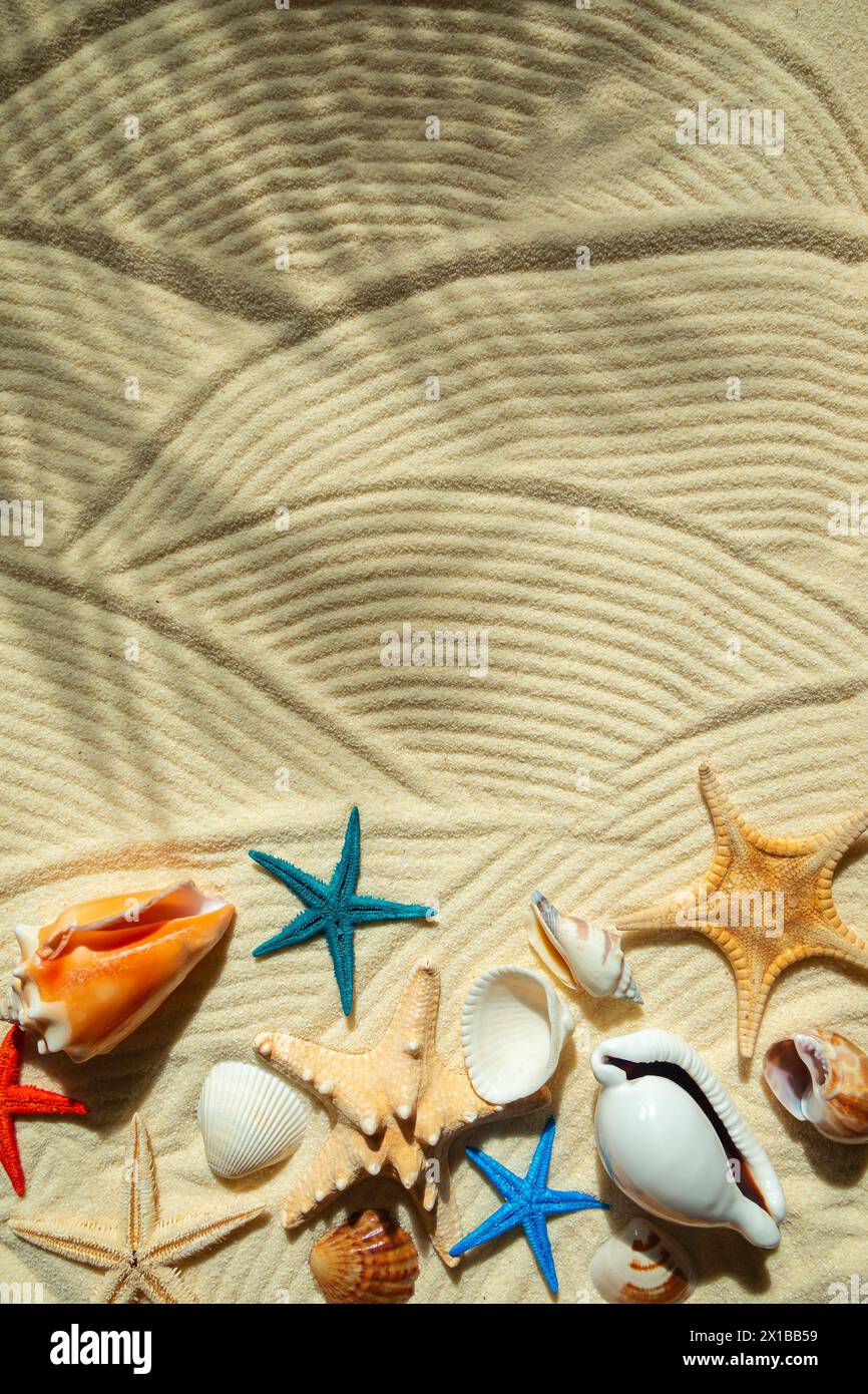 Colored starfish and shells on white wavy fine sand. Shadow from a palm leaves. Summer background, free space for decoration, flat lay. Stock Photo