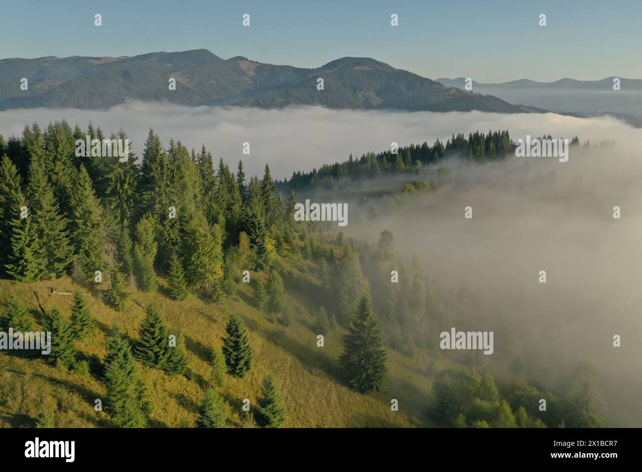 Aerial view of beautiful landscape with misty forest in mountains Stock ...