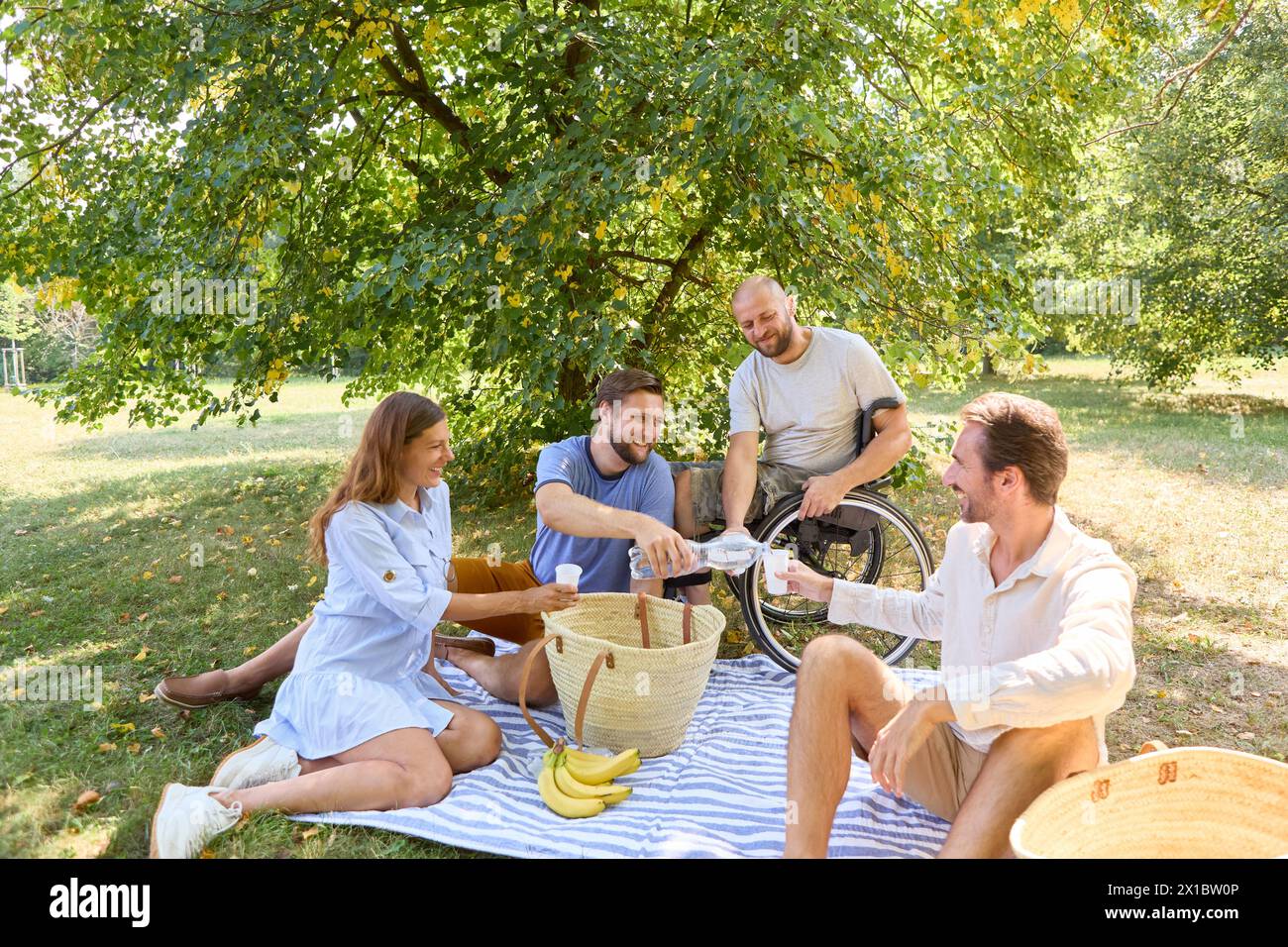 A group of friends enjoying a cheerful picnic in a park, featuring a person in a wheelchair, illustrating inclusivity and friendship. Stock Photo