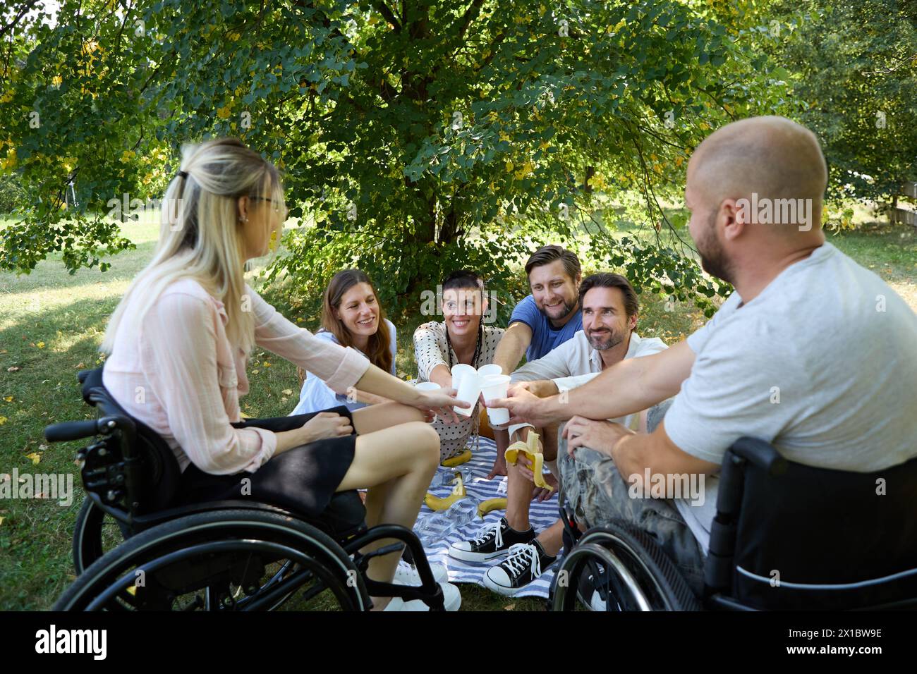 A diverse group of friends, including persons using wheelchairs, sharing a joyful picnic outdoors on a sunny day, highlighting inclusivity and friends Stock Photo