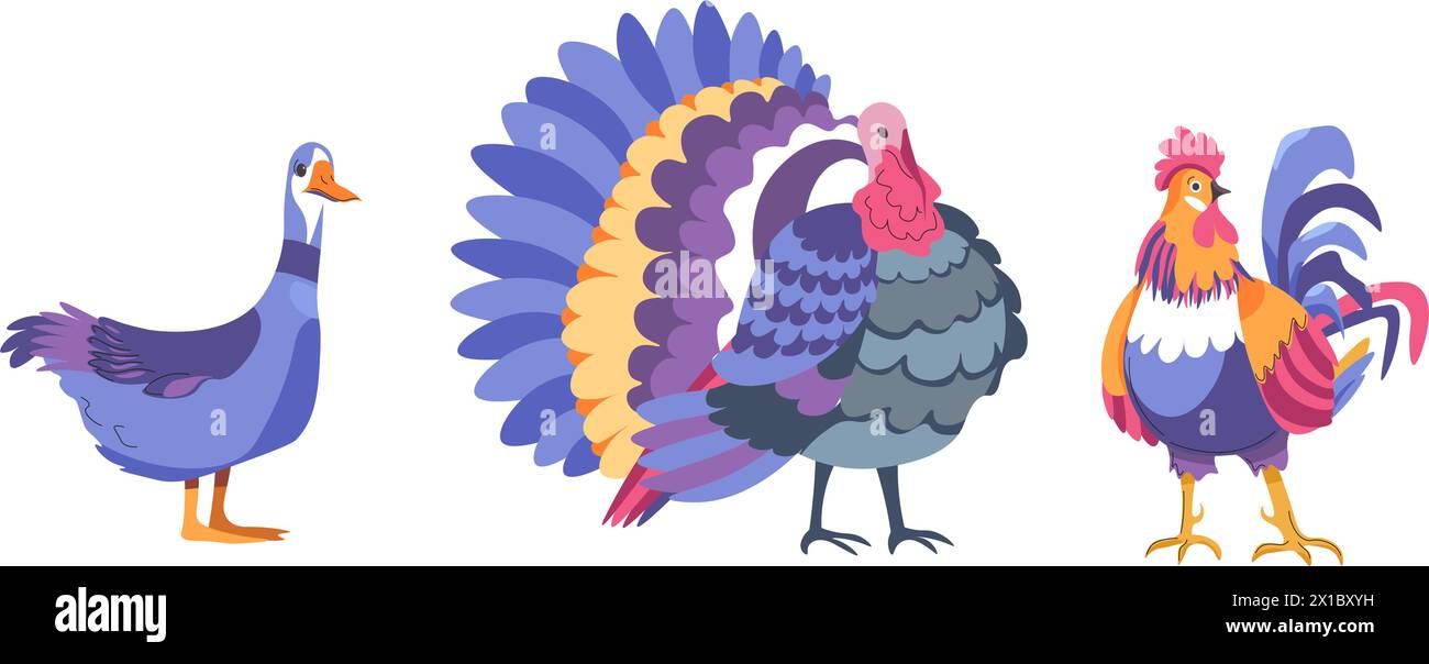 Colorful Farm Birds Vector Set Stock Vector Image & Art - Alamy