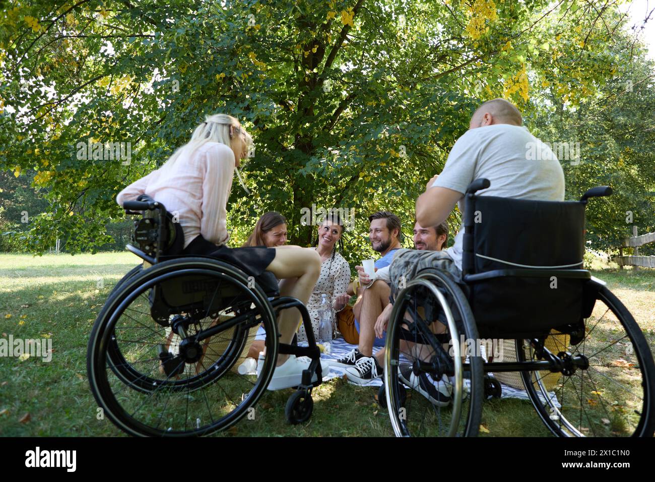 Group of friends enjoying a picnic in the park, showcasing persons using wheelchairs in a relaxed, inclusive setting. Stock Photo