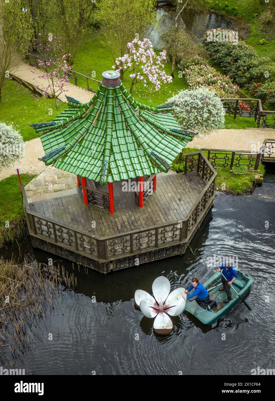 Gardeners Joel Dibb and Kate Cannon uses a small boat to install 'Magnolia', a sculpture by Rebecca Newnham, in the Magnolia Lake at the Himalayan Garden and Sculpture Park, near Ripon, North Yorkshire. Picture date: Tuesday April 16, 2024. Stock Photo