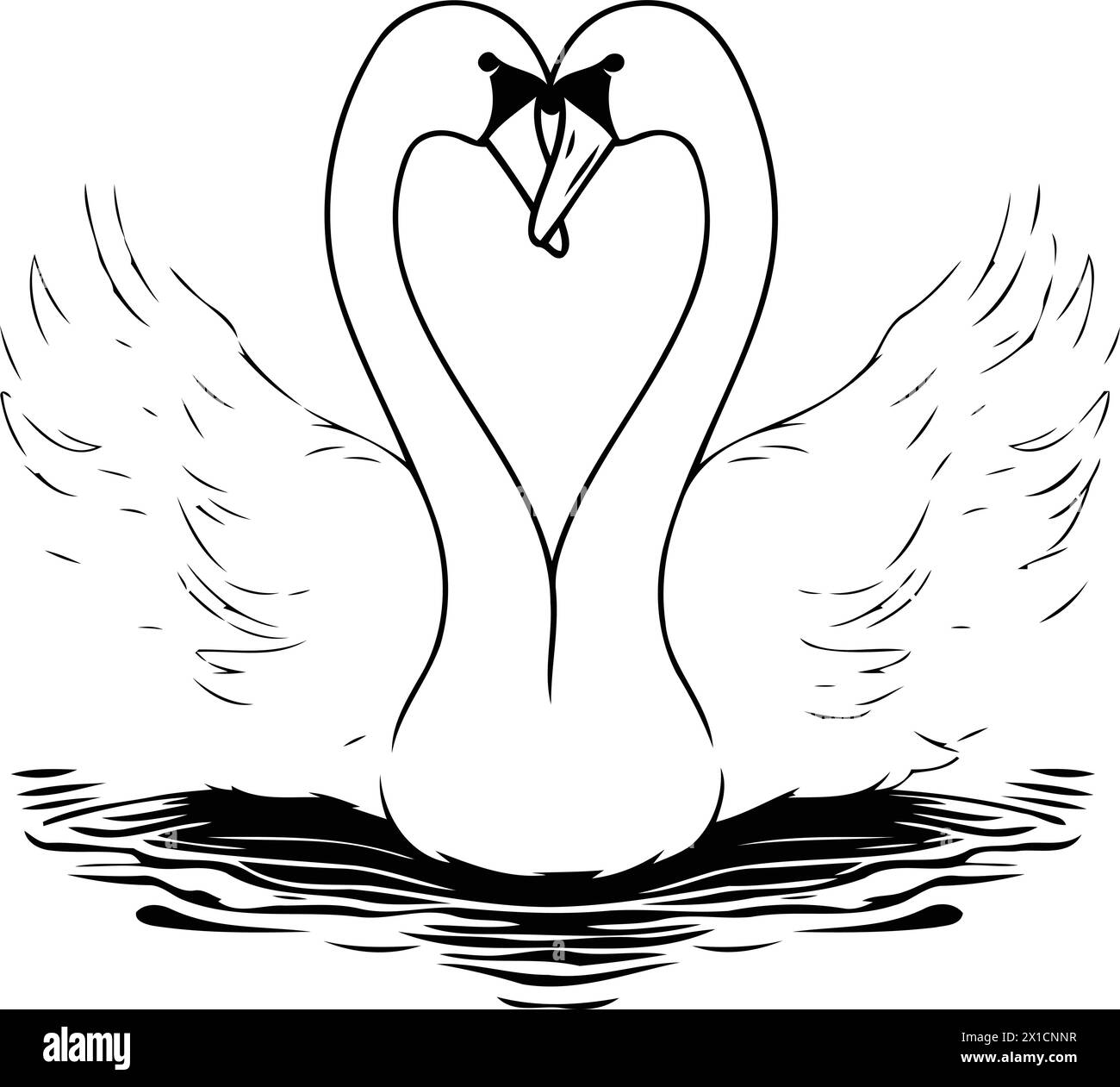 Vector illustration of a white swan in love on a blue background Stock ...