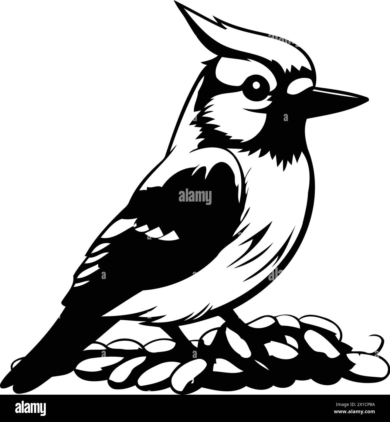 Blue jay bird sitting on a pebble. Vector illustration. Stock Vector