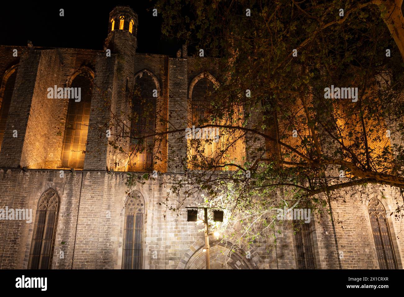 Barcelona, Spain: facade of Santa Maria del Pi at night, Barri Gotic district Stock Photo